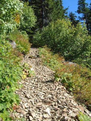 Heading up the trail to Bohemia Mt., Lane Co., OR